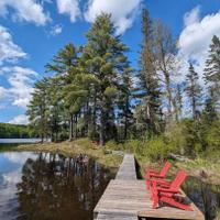 Algonquin Eco-Lodge view 