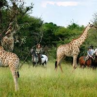 Botswana Riding Safari