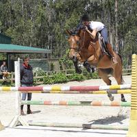 Portugal Dressage