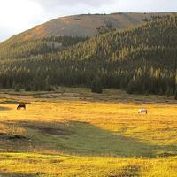 Local landscape 