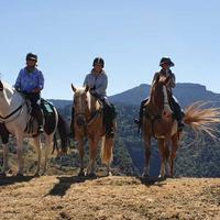 Riders atop their horses 