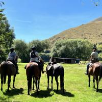 Equestrians at the field 