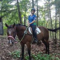 Horseback adventure