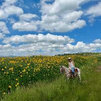 Mexico Horse Riding