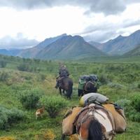 Equestrians exploring the Yukon 