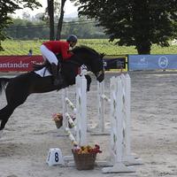 Portugal Dressage