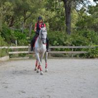 Australia Riding Lessons