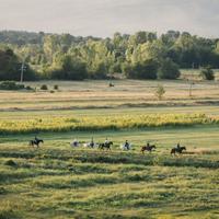 Bosnia Horse Riding