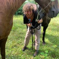 Tourist between horses 