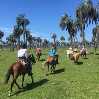 Uruguay Horse Riding