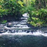 BriBri waterfall