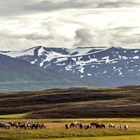 Iceland Travel