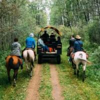 Riders following the wagon 