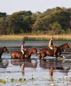 Botswana Riding