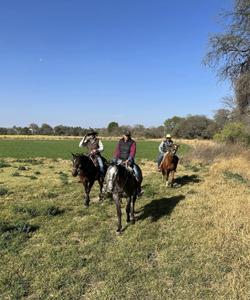 Mexico Horse Riding