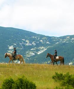 Bosnia Riding