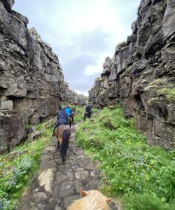 Iceland Horse Riding