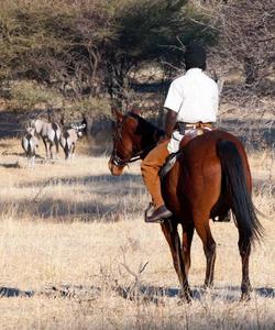 Botswana Riding Safari