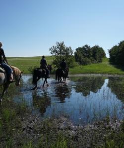 Trail ride in Canada