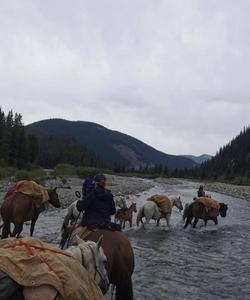 Crossing the river 