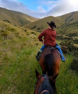 Rider in the mountains 