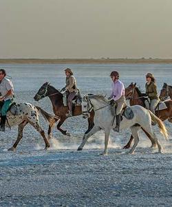 Botswana Riding