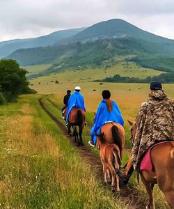 Georgia Horse Riding
