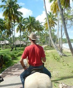 Caribbean Horseriding