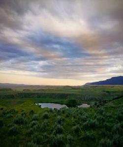 Local landscape 