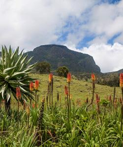 Ethiopia