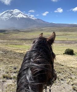 Ecuador Riding