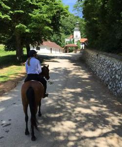 Serbia Horseriding