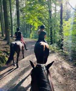 Sweden Horse Riding