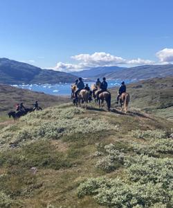 Greenland Horse Riding