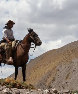 Andes Crossing