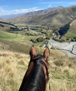 Riding atop a horse 