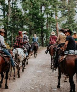 Riders at the start of the route 