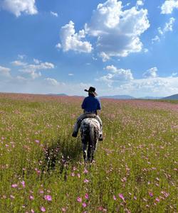 Mexico Horse Riding