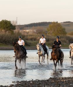 Portugal Riding