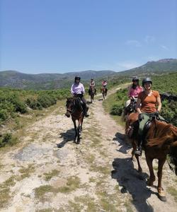 Northern Portugal Riding