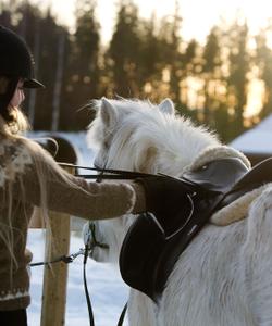 Sweden Horseriding