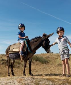 Choldren horseback riding