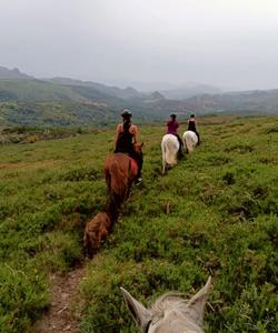 Portugal Riding