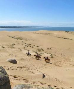 Uruguay Horse Riding