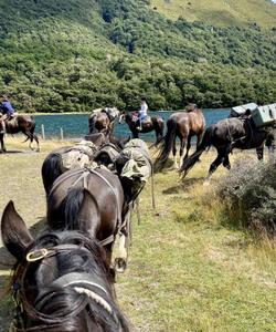 Horse riding tour