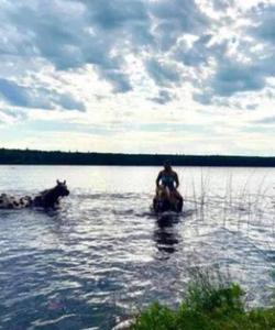 Crossing the river atop a horse