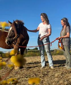 Portugal Horsetherapy