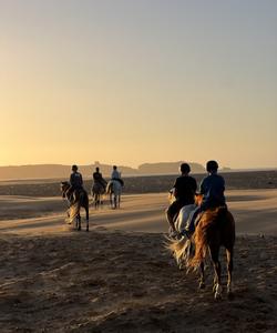 Horse back riding