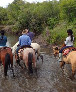 Uruguay Horse Riding