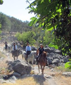 Andalusia Horse Riding